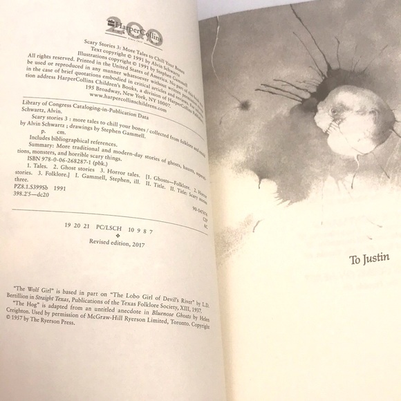 Scary Stories 3 More Tales To Chill Your Bones - Picture 4 of 7